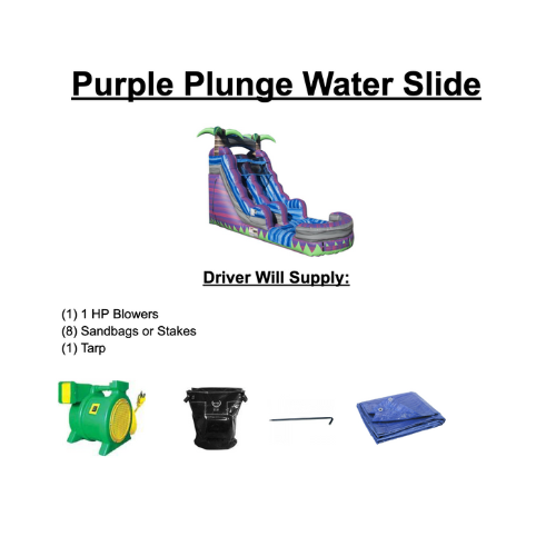 Purple Plunge Water Slide