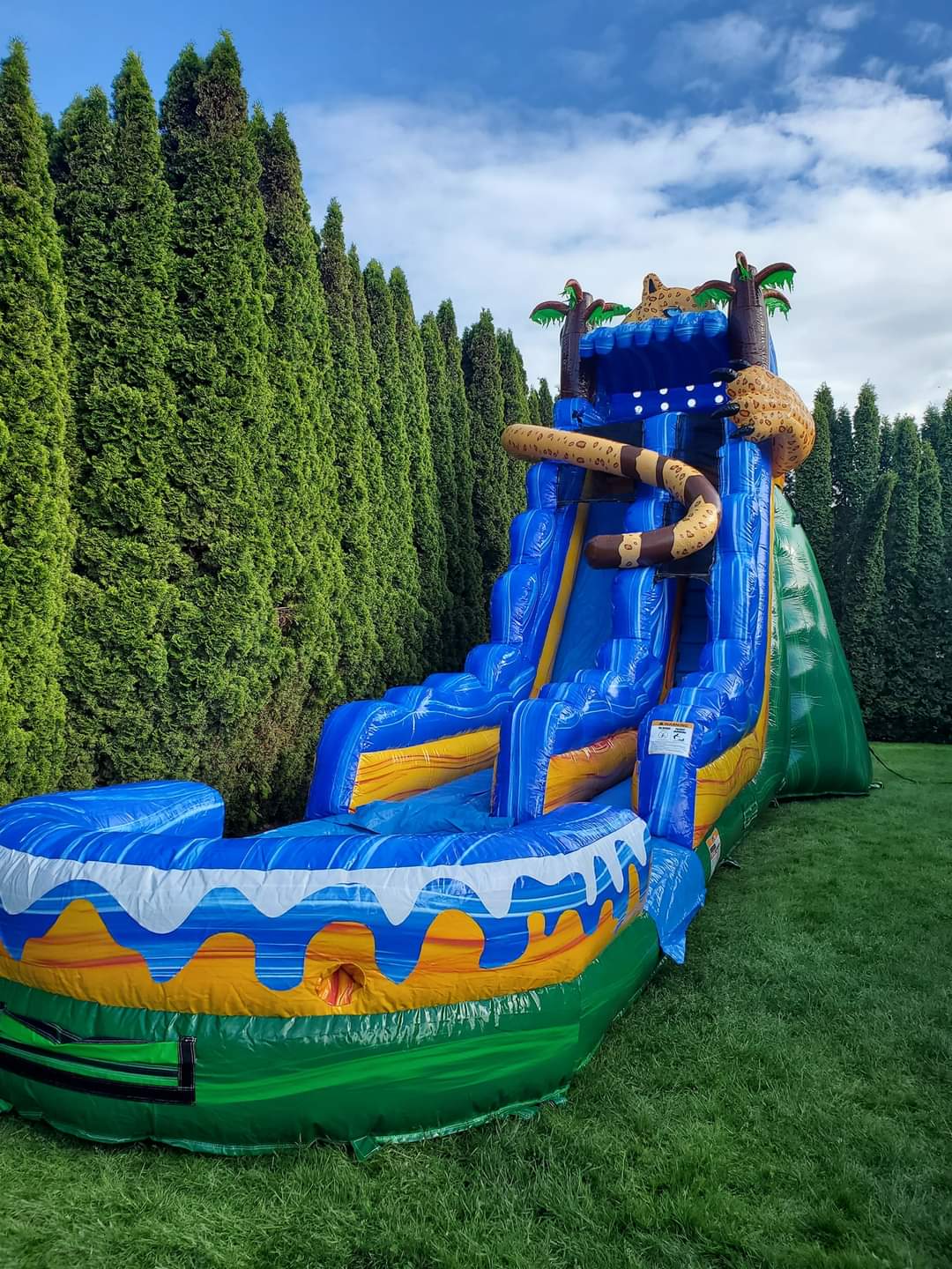 20FT JAGUAR SLIDE W/ POOL