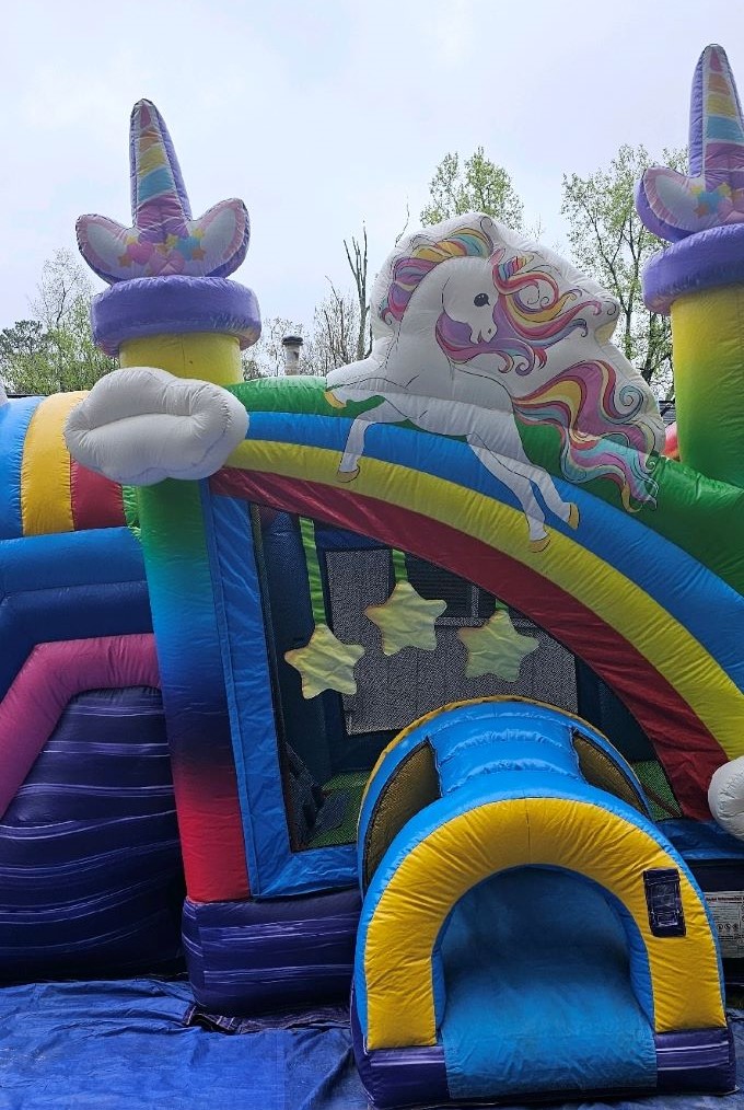 Dazzling Unicorn Jump and Slide Dry/Wet - Chrisally Events and
