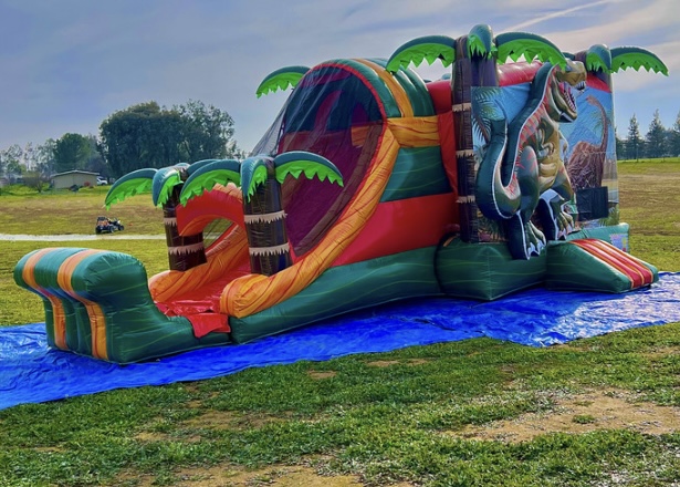 Happy Bounce Houses Inc - bounce house rentals and slides for