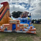 20' Tall - Bear Camp Water Slide dual lane