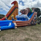 20' Tall - Bear Camp Water Slide dual lane
