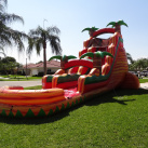 25' Tall - South of the Border Water Slide single lane