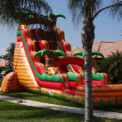 25' Tall - South of the Border Water Slide single lane