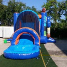 4 in 1 3D Dolphins Football Single(big) Lane Combo  Wet/Dry