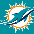 4 in 1 3D Dolphins Football Single(big) Lane Combo  Wet/Dry