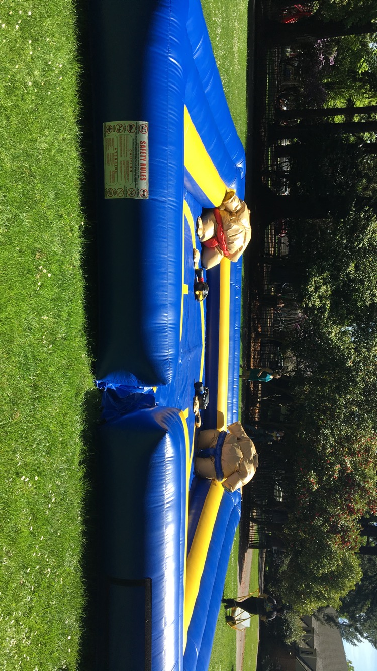 inflatable sumo wrestling ring