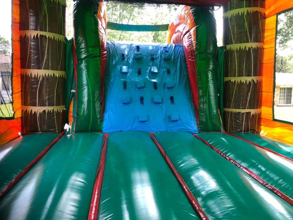 Safari Splash slide view