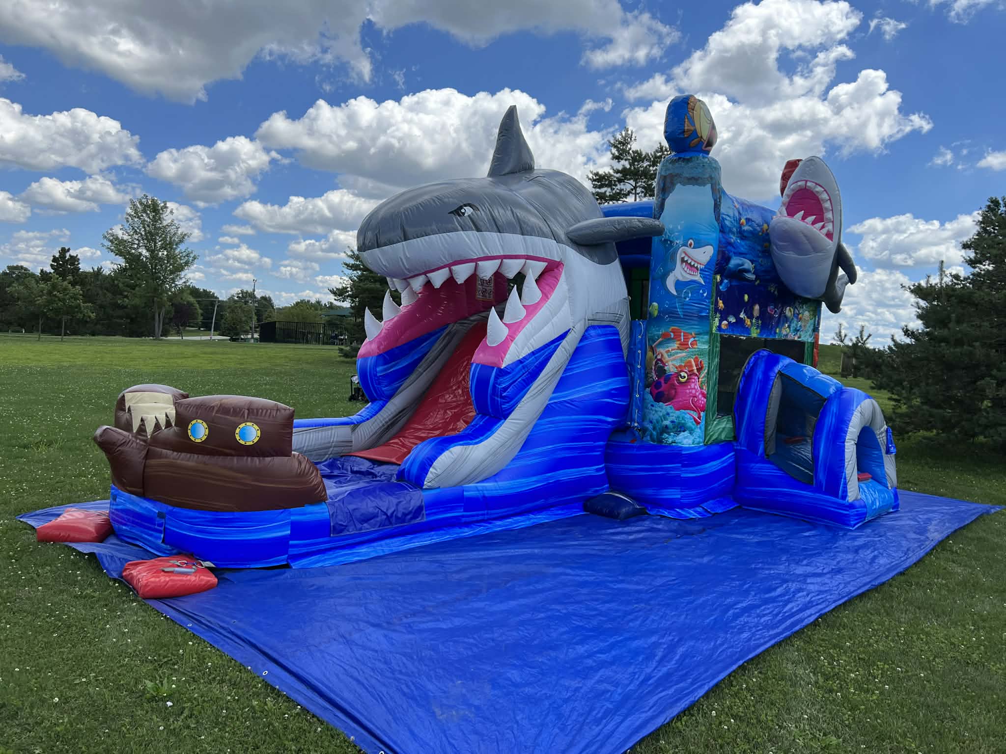 Shark Attack front angle with slide
