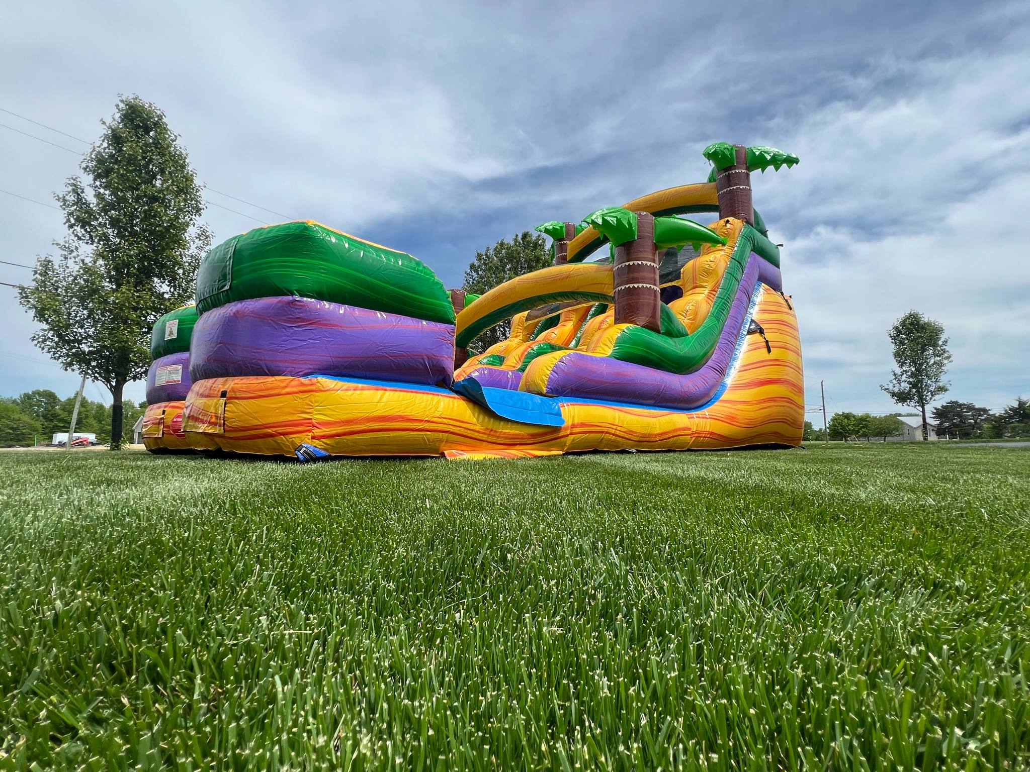 Tropical Falls tropical vibes palm trees and island design