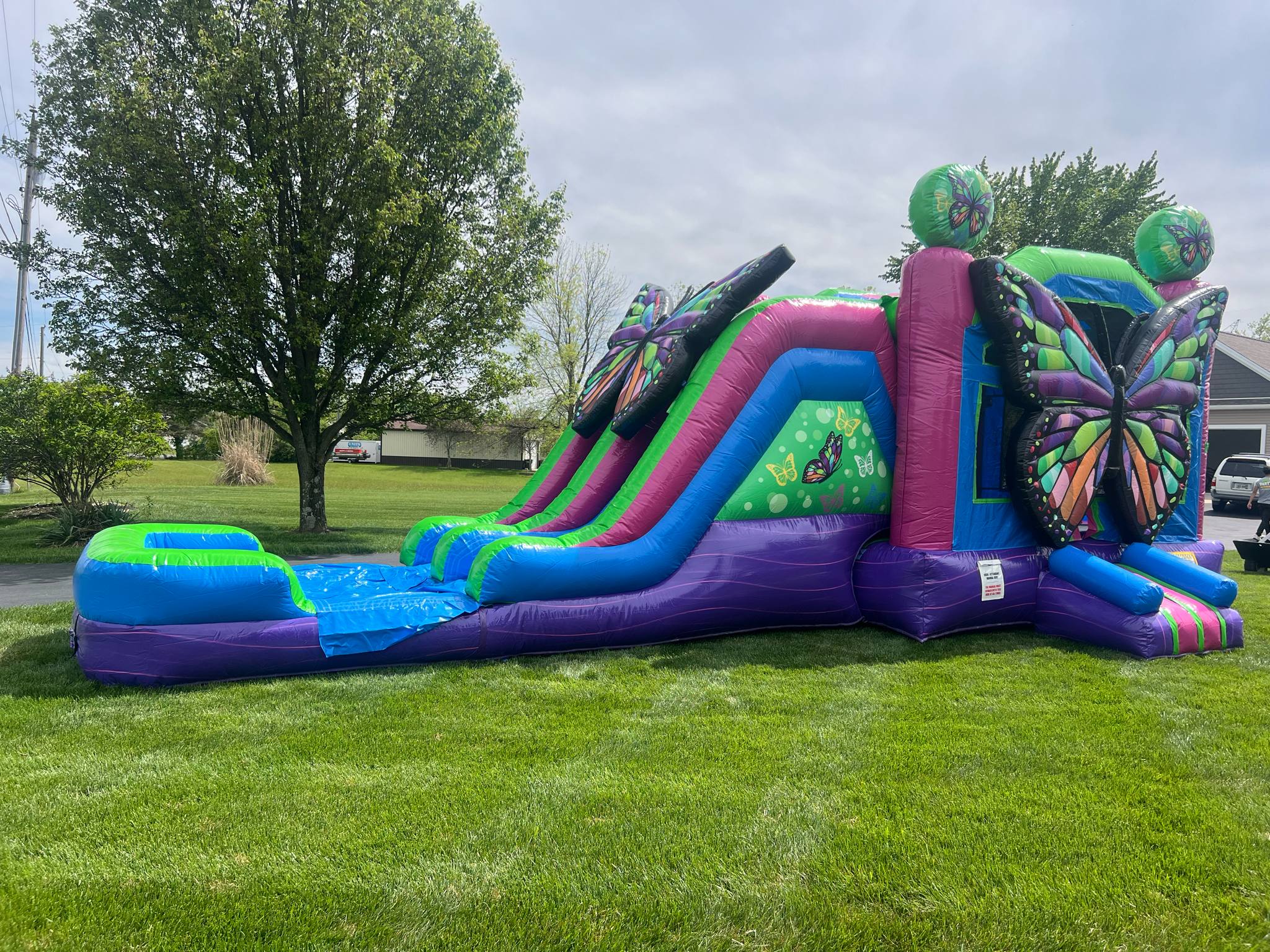 Beautiful Butterfly Double Lane Combo (Wet or Dry)