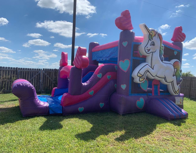 Unicorn Jump Wet/Dry Combo