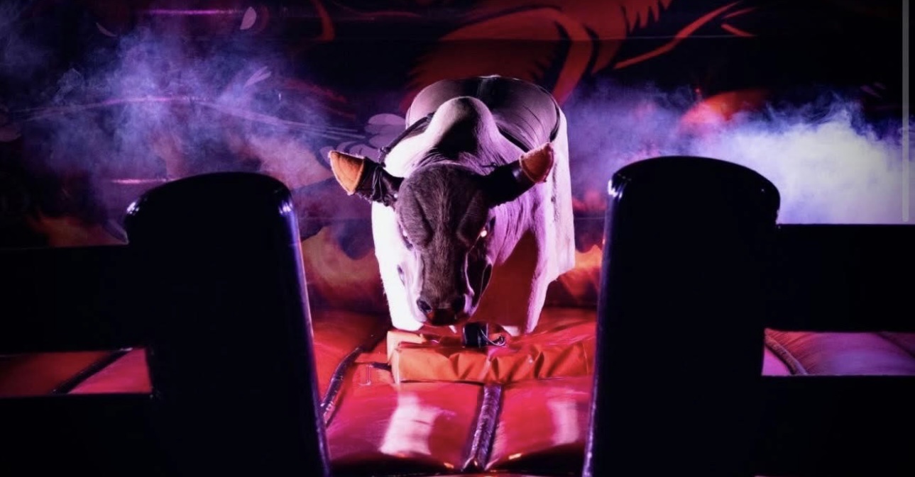 Mechanical Bull front view through the rails